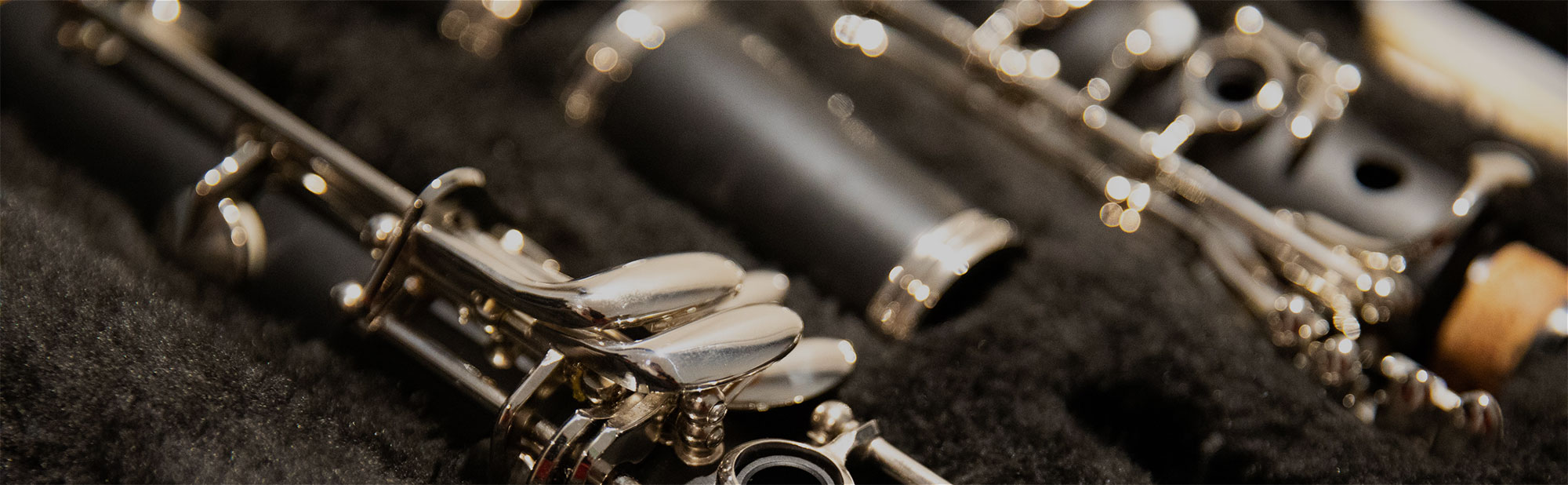 Insurance Travel Insurance Cover Lark Music