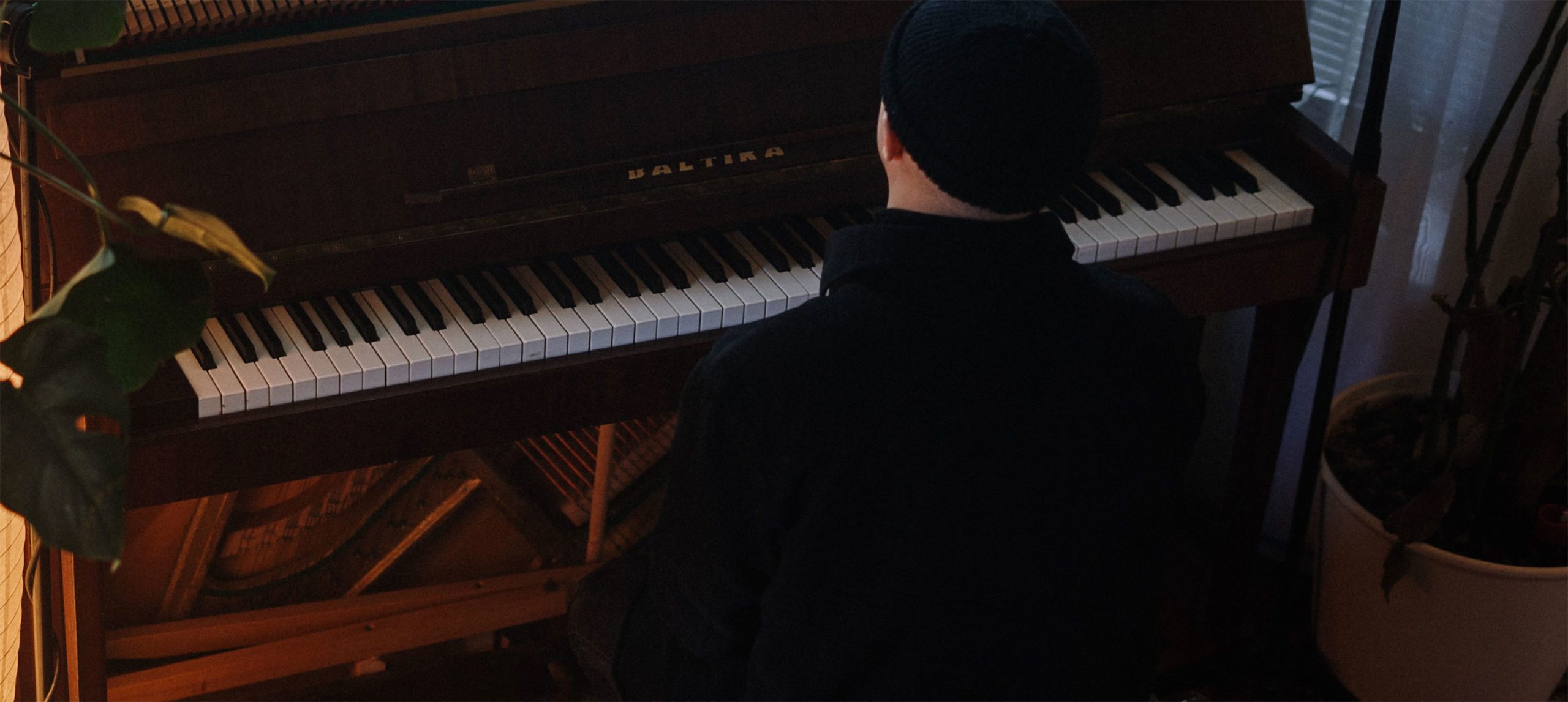 Keyboard & Piano Insurance Digital Piano Cover Lark Music