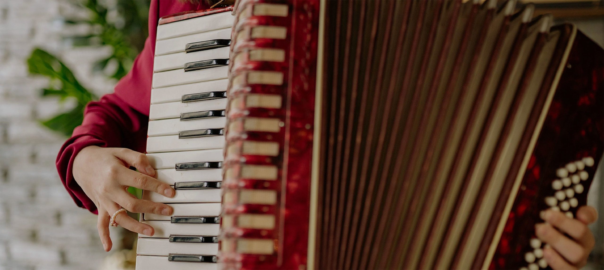 Other Instrument Insurance Different Instruments Lark Music