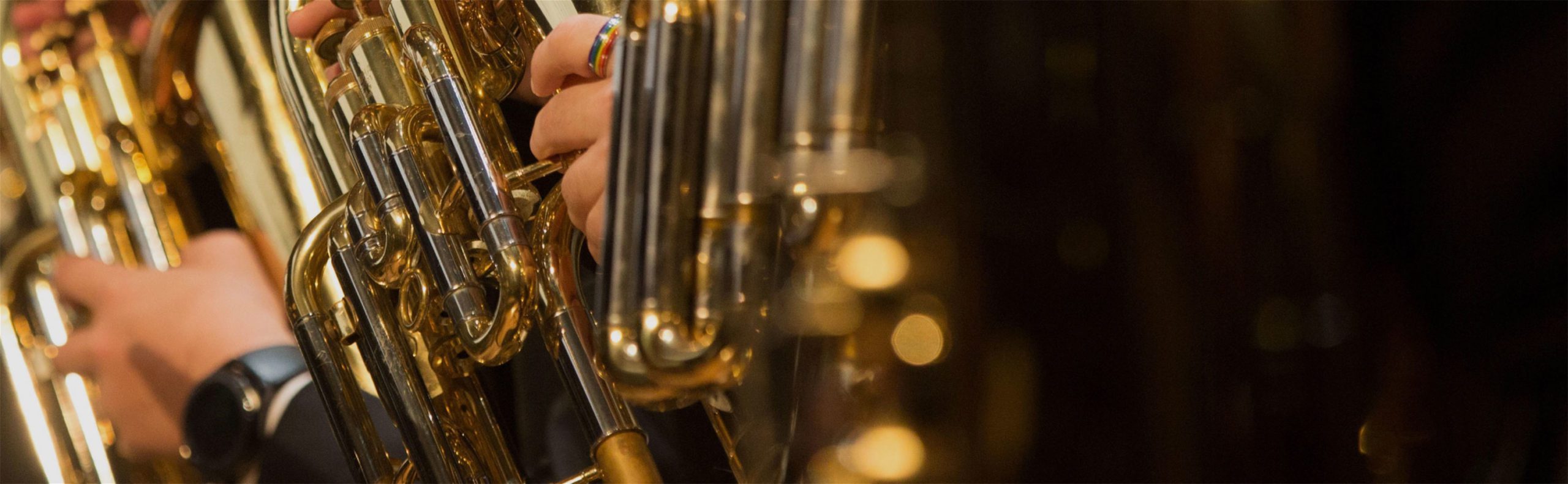 Trumpet Insurance Trumpet Insurance Solutions Lark Music