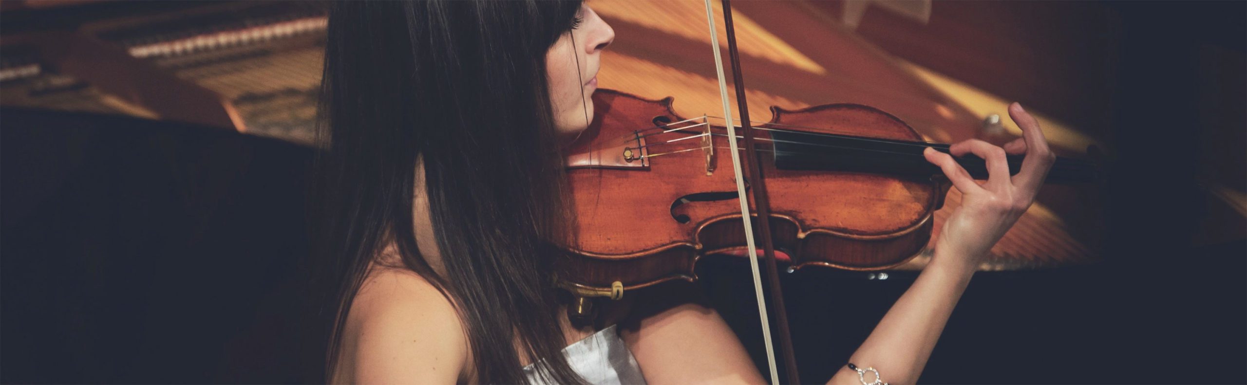 Violin Insurance Violin Travel Protection Lark Music