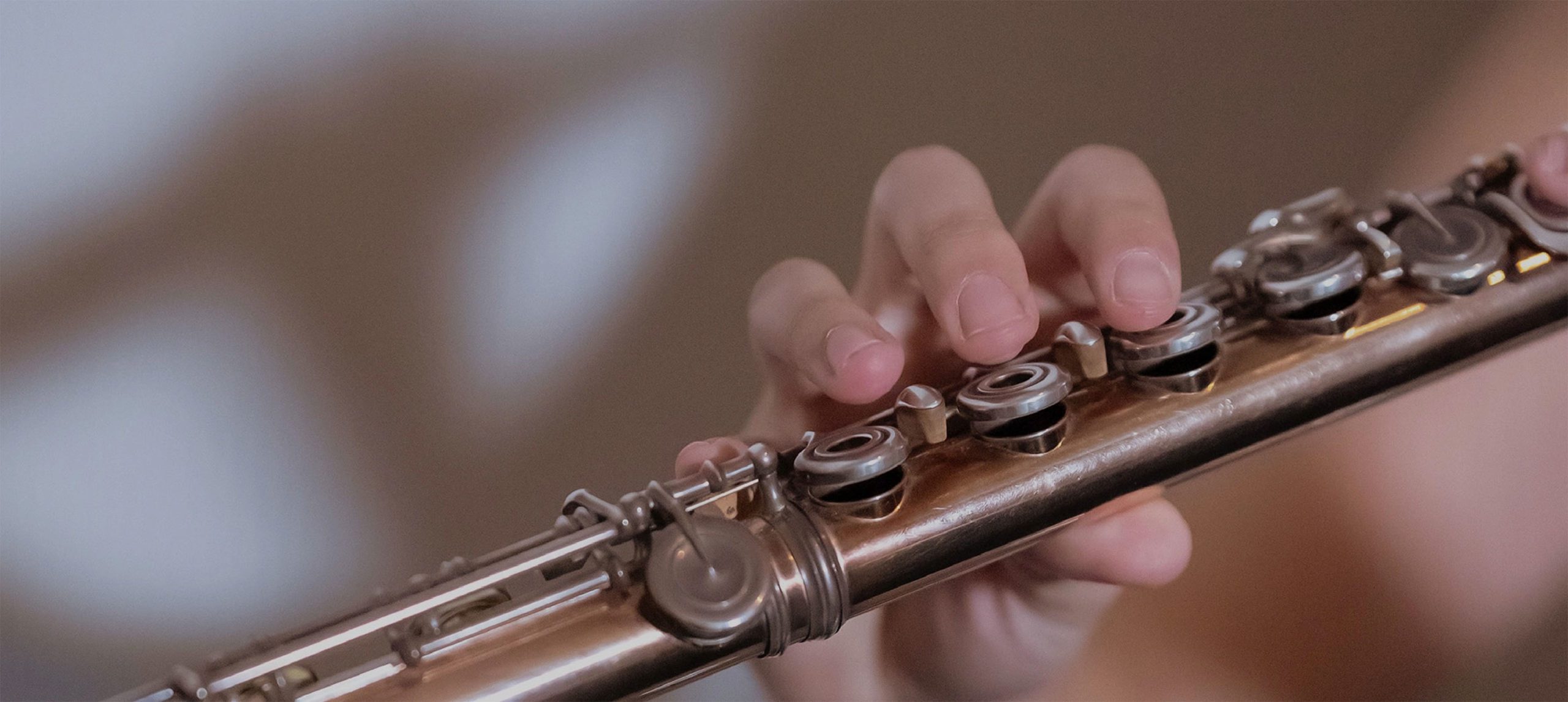 Woodwind Instruments Insurance Woodwind Cover Lark Music