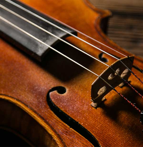 Do I need violin insurance? Lark Music