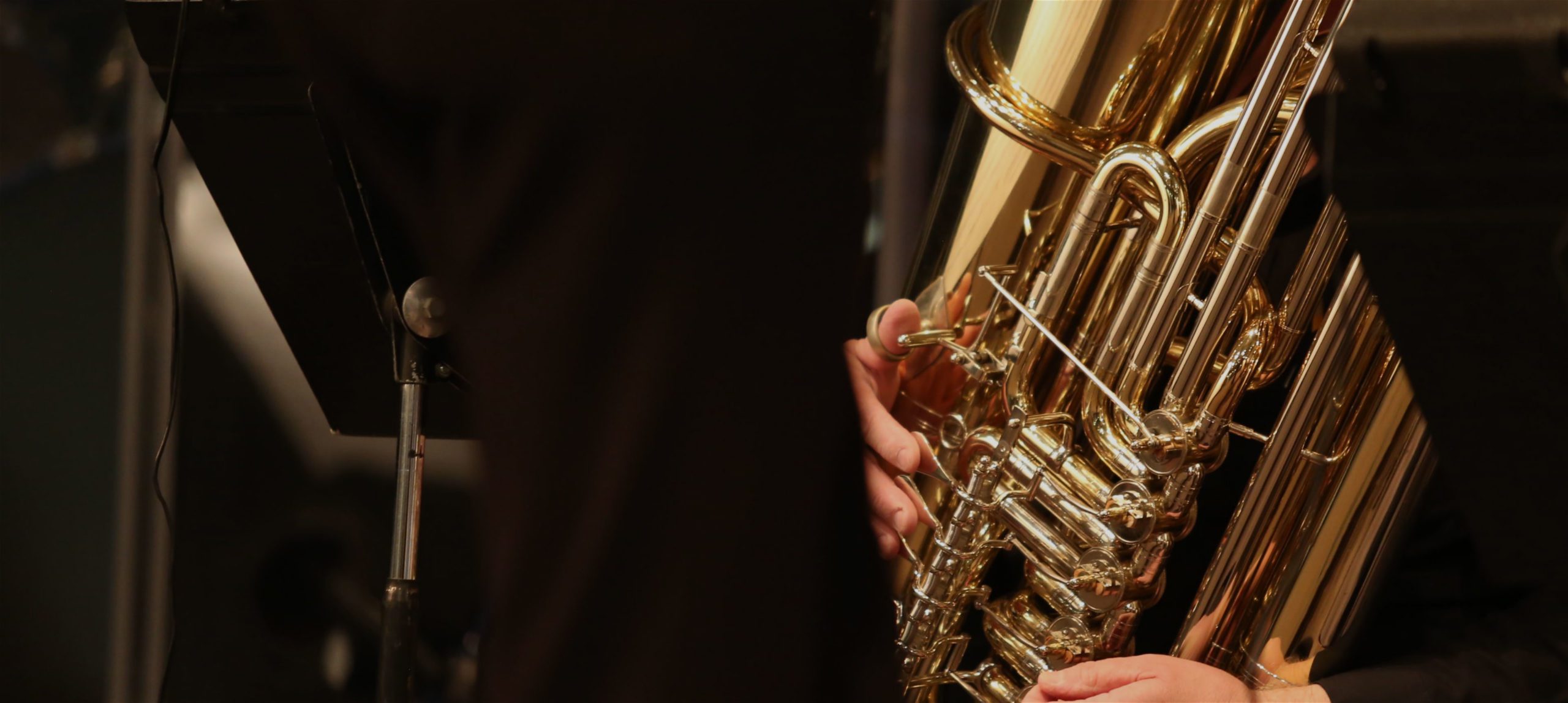 Brass Instrument Insurance, Trumpet, Trombone & Horn Lark Music