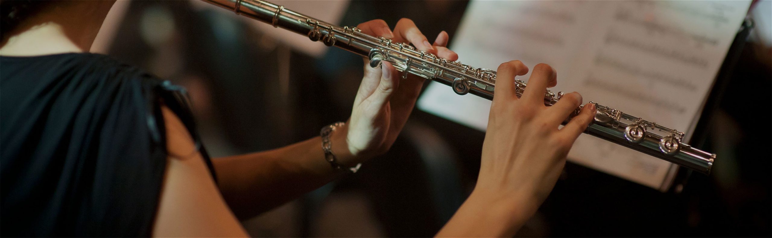 Flute Insurance Flute Travel Protection Insurance Lark Music