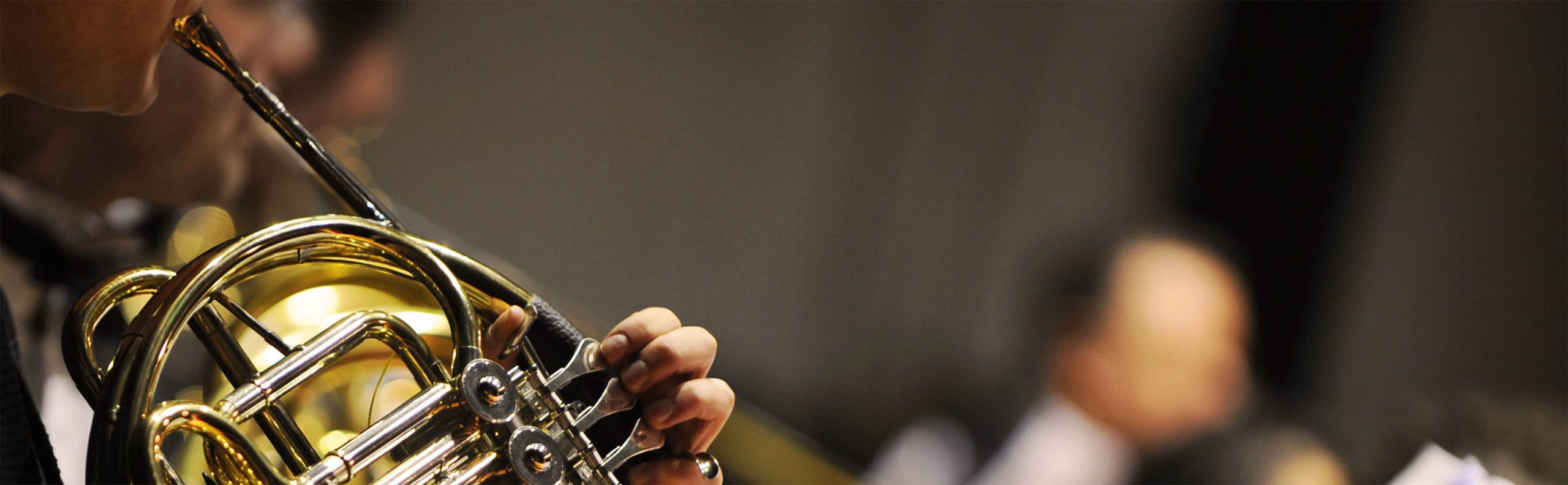 Horn Insurance French Horn Insurance Quote Lark Music