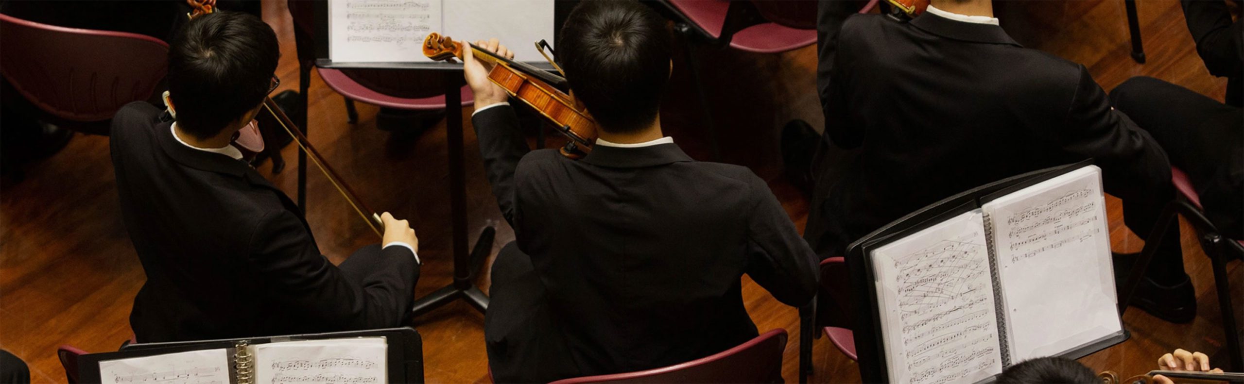 Orchestra Members Insurance Musicians Lark Music